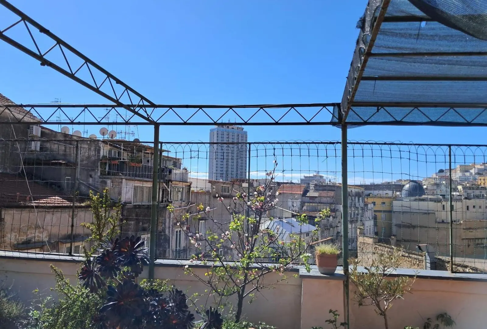 La Camera Chiara Naples